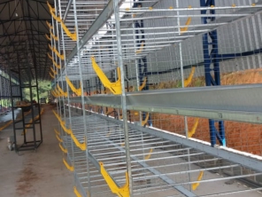 Foto de Goldner Gonoring - Montagem e Manutenção de Granjas Automáticas em Farroupilha, RS por Solutudo