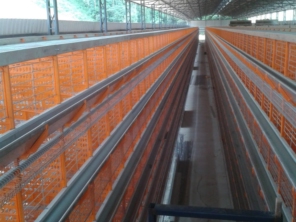 Foto de Goldner Gonoring - Montagem e Manutenção de Granjas Automáticas em Farroupilha, RS por Solutudo