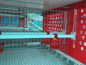 Foto de Goldner Gonoring - Montagem e Manutenção de Granjas Automáticas em Farroupilha, RS por Solutudo