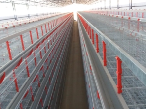 Foto de Goldner Gonoring - Montagem e Manutenção de Granjas Automáticas em Farroupilha, RS por Solutudo