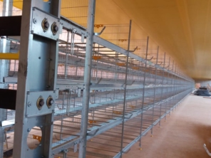 Foto de Goldner Gonoring - Montagem e Manutenção de Granjas Automáticas em Farroupilha, RS por Solutudo