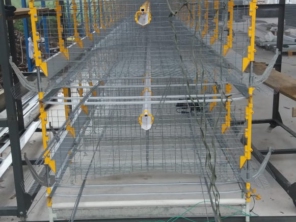 Foto de Goldner Gonoring - Montagem e Manutenção de Granjas Automáticas em Farroupilha, RS por Solutudo