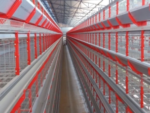 Foto de Goldner Gonoring - Montagem e Manutenção de Granjas Automáticas em Farroupilha, RS por Solutudo