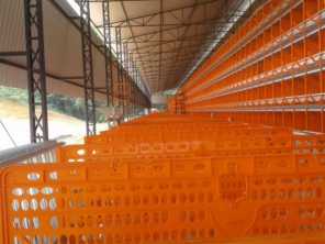 Foto de Goldner Gonoring - Montagem e Manutenção de Granjas Automáticas em Farroupilha, RS por Solutudo