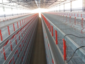 Foto de Goldner Gonoring - Montagem e Manutenção de Granjas Automáticas em Farroupilha, RS por Solutudo