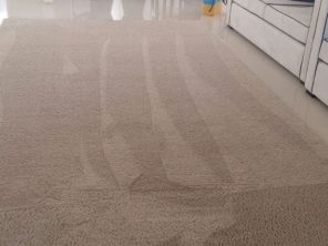 Foto de Dryclean Carpete em São Paulo, SP por Solutudo