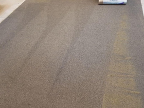 Foto de Dryclean Carpete em São Paulo, SP por Solutudo