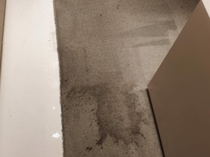 Foto de Dryclean Carpete em São Paulo, SP por Solutudo