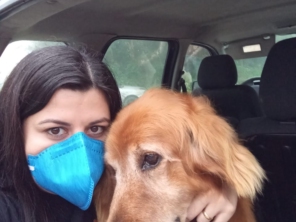Foto de Clinica Veterinária Pet Center Ribeirão em Ribeirão Pires, SP por Solutudo
