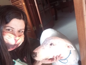 Foto de Clinica Veterinária Pet Center Ribeirão em Ribeirão Pires, SP por Solutudo