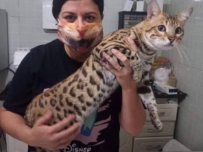 Foto de Clinica Veterinária Pet Center Ribeirão em Ribeirão Pires, SP por Solutudo