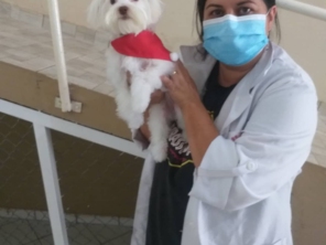 Foto de Clinica Veterinária Pet Center Ribeirão em Ribeirão Pires, SP por Solutudo
