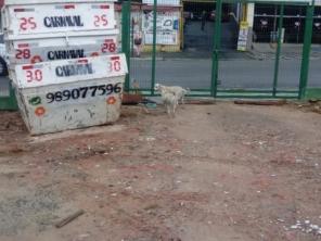 Foto galeria da empresa