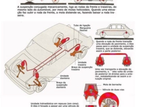 Foto galeria da empresa