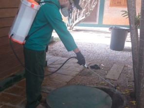 Foto de Maxprag Dedetizadora em Osasco e Região em Osasco, SP por Solutudo