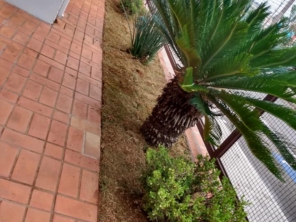 Foto de MS Serviços em Botucatu, SP por Solutudo