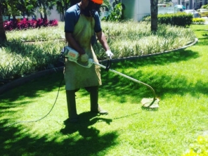 Foto de Equipe Garden - Paisagismo em Rio de Janeiro, RJ por Solutudo