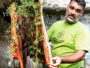 Foto de Equipe Garden - Paisagismo em Rio de Janeiro, RJ por Solutudo