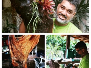 Foto de Equipe Garden - Paisagismo em Rio de Janeiro, RJ por Solutudo