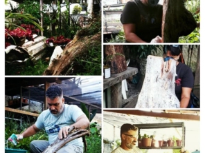 Foto de Equipe Garden - Paisagismo em Rio de Janeiro, RJ por Solutudo