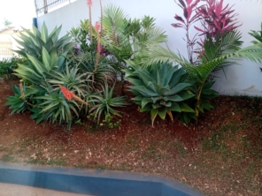 Foto de Protegendo Verde em Botucatu, SP por Solutudo