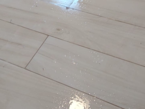 Foto de Monica Clean - Serviços de Limpeza em Itupeva, SP por Solutudo
