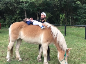 Foto de Centro Equestre HP Horsinho em Foz do Iguaçu, PR por Solutudo