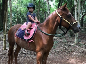 Foto de Centro Equestre HP Horsinho em Foz do Iguaçu, PR por Solutudo