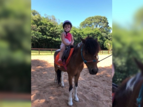 Foto de Centro Equestre HP Horsinho em Foz do Iguaçu, PR por Solutudo