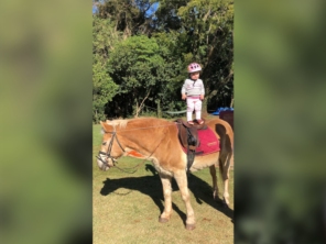 Foto de Centro Equestre HP Horsinho em Foz do Iguaçu, PR por Solutudo