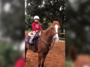 Foto de Centro Equestre HP Horsinho em Foz do Iguaçu, PR por Solutudo