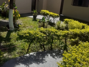 Foto de Centro Terapêutico de Monte Carmelo em Monte Carmelo, MG por Solutudo