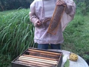 Foto galeria da empresa