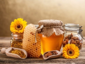 Meliponário e Apiário Vale das Águas