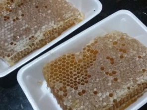 Meliponário e Apiário Vale das Águas