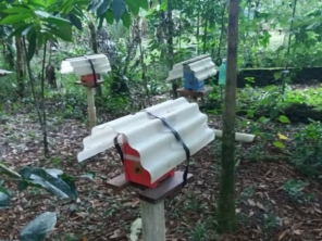 Meliponário e Apiário Vale das Águas