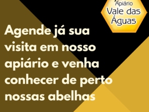 Meliponário e Apiário Vale das Águas