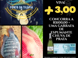 Foto de Ponto da Tilápia Avaré em Avaré, SP por Solutudo