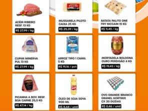 Catalogo