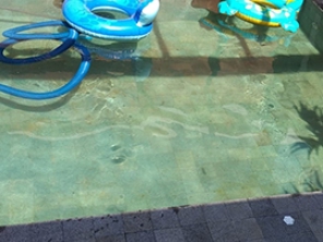 Foto de Tratha Bem Piscinas - Manutenção e Limpeza de Piscinas em Americana, SP por Solutudo