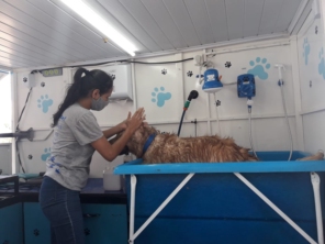Foto de O Lá Em Casa Pet Móvel em Poços de Caldas, MG por Solutudo