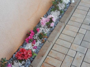 Foto de Sempre Verde Jardinagem em Santa Terezinha de Itaipu, PR por Solutudo