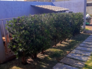 Foto de Sempre Verde Jardinagem em Santa Terezinha de Itaipu, PR por Solutudo