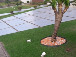 Foto de Sempre Verde Jardinagem em Santa Terezinha de Itaipu, PR por Solutudo