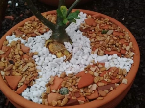 Foto de Sempre Verde Jardinagem em Santa Terezinha de Itaipu, PR por Solutudo