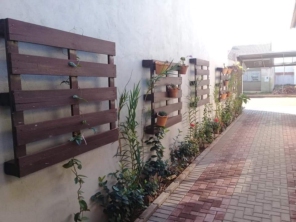 Foto de Sempre Verde Jardinagem em Santa Terezinha de Itaipu, PR por Solutudo
