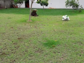 Foto de Sempre Verde Jardinagem em Santa Terezinha de Itaipu, PR por Solutudo