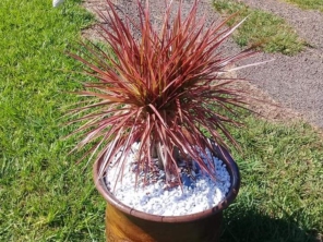 Foto de Sempre Verde Jardinagem em Santa Terezinha de Itaipu, PR por Solutudo