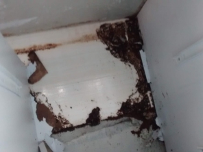 Foto de Dedetizadora AgroSystem em Marília, SP por Solutudo