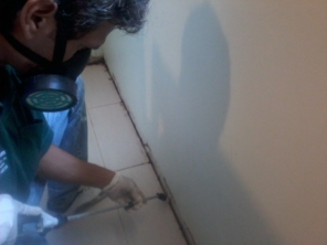 Foto de Dedetizadora AgroSystem em Marília, SP por Solutudo